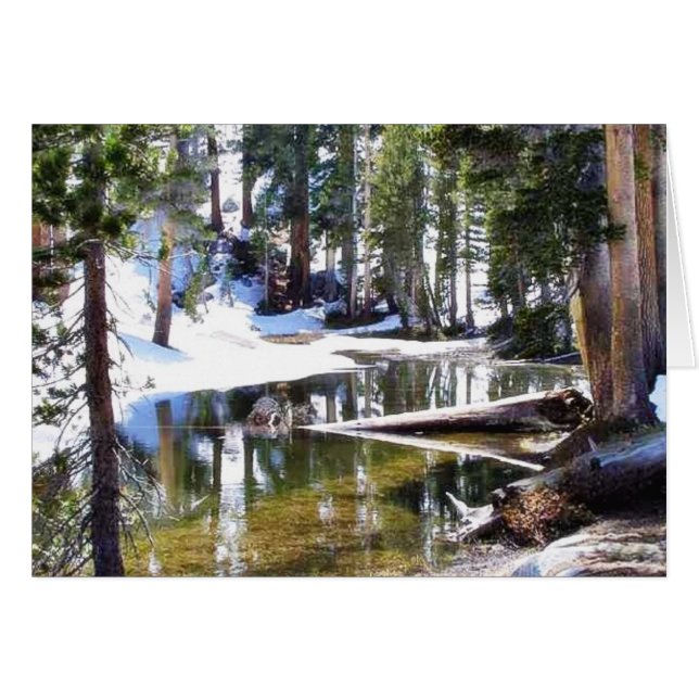 Sjöar Träd Skogen Hälsningskort (Framsidan Horizontal)