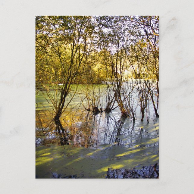 SJÖAR VYKORT (Framsida)