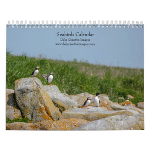 Sjöfåglar på Machias Seal Island 2026 Kalender