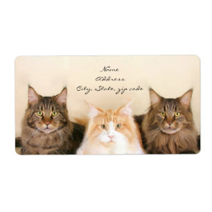 Sjöfartsetiketter för maine Coon Cats Fraktsedel