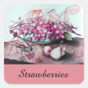 SJÖFRUKT/STRAWBERRIER OCH PÄRON FYRKANTIGT KLISTERMÄRKE