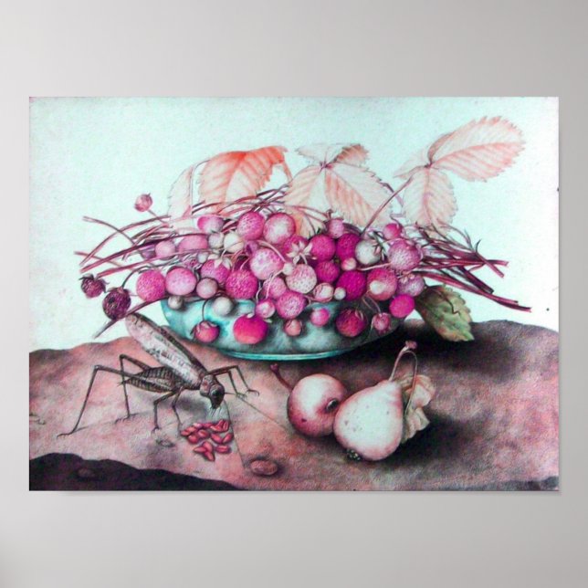 SJÖFRUKT/STRAWBERRIER OCH PÄRON POSTER (Framsidan)