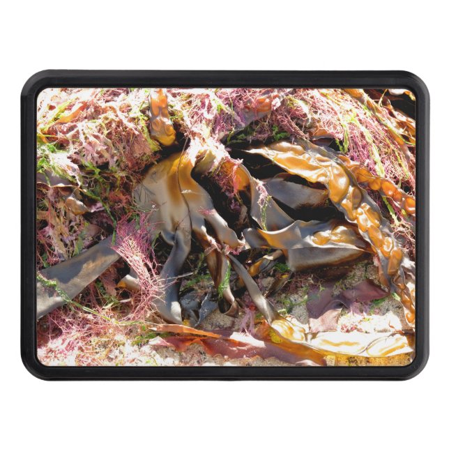 SJÖGRÄS DRAGKROKSSKYDD (Framsidan)