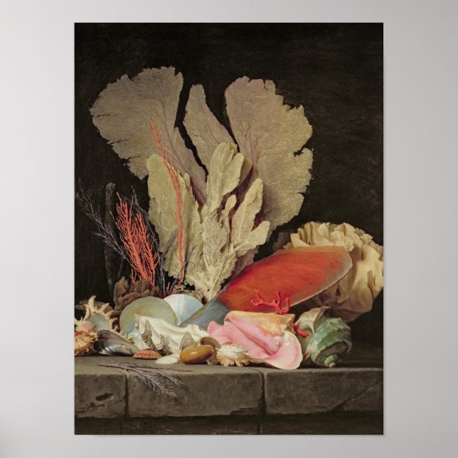 Sjögräs, litofyter och Seashells Poster (Framsidan)