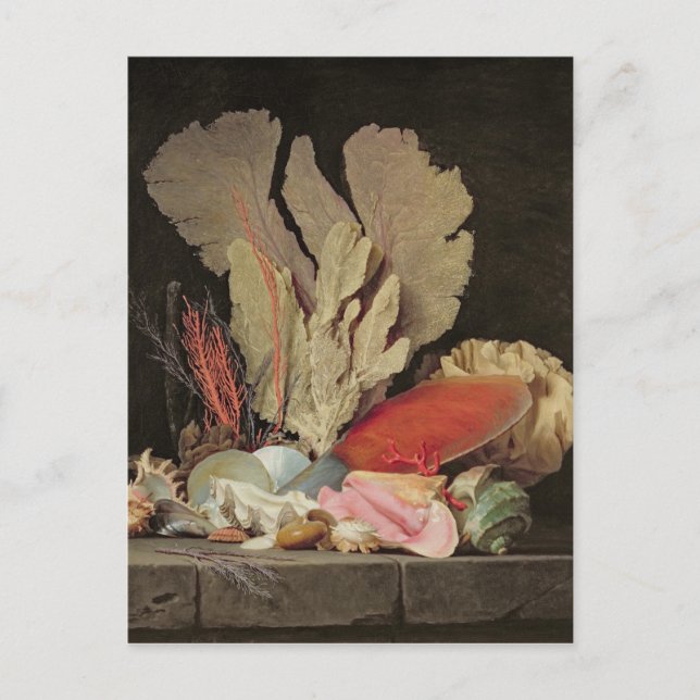 Sjögräs, litofyter och Seashells Vykort (Framsida)