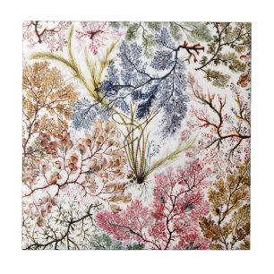 Sjögräs Silke Fabric Art Kakelplatta