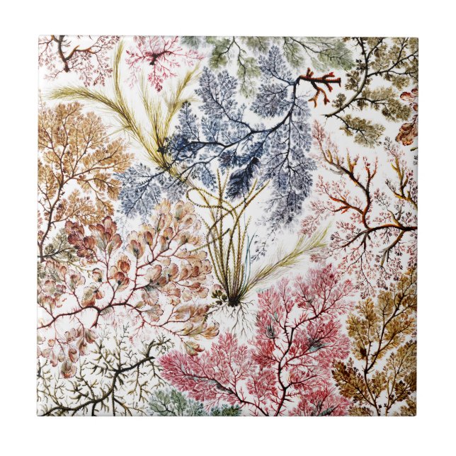 Sjögräs Silke Fabric Art Kakelplatta (Framsidan)