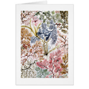 Sjögräs Silke Fabric Art OBS Kort