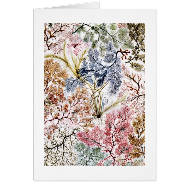 Sjögräs Silke Fabric Art OBS Kort (Framsidan)