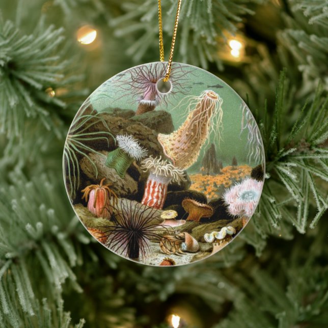 Sjögräs, Vintage marina levande havslevande djur Julgransprydnad Keramik (Träd)