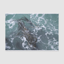 Sjögrässilkespapperpapper