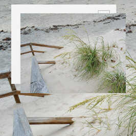 Sjögres och vit sanddyns strand fotografisk vykort