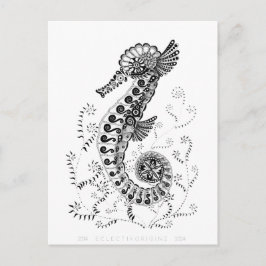 Sjöhäst 10 år vykort