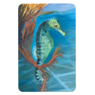 Sjöhäst bland sjögräs magnet