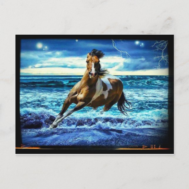 Sjöhäst Vykort (Framsida)