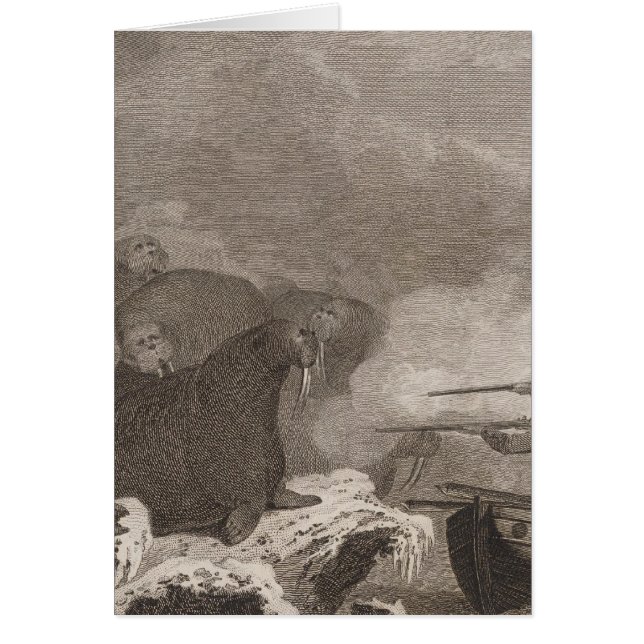 Sjöhästar Hälsningskort (Framsidan)