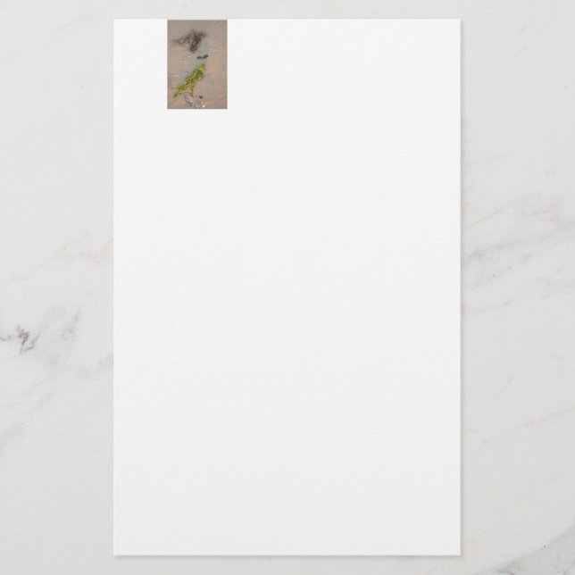 Sjöjungfru Brevpapper (Framsida)