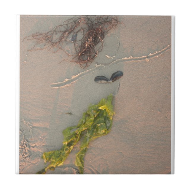 Sjöjungfru Kakelplatta (Framsidan)