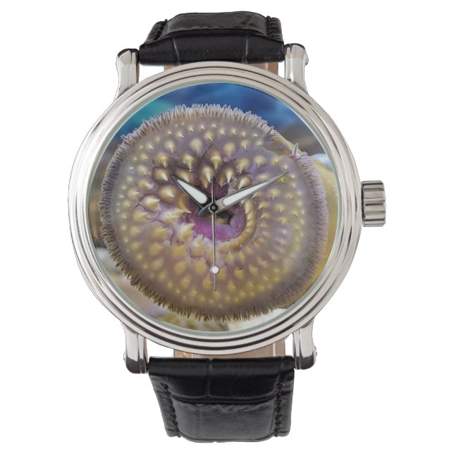 Sjölamprey suger mun armbandsur (Framsida)