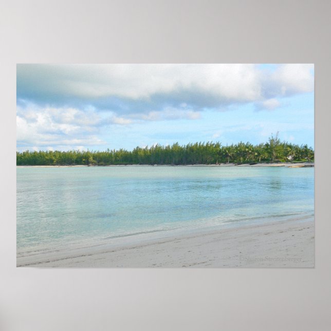 "SJÖLANDSKAP/GRÖNT TURTLE CAY /ABACO ISLANDS" POSTER (Framsidan)