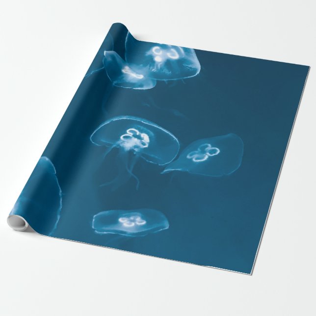 Sjölandskap Presentpapper (Utrullad)