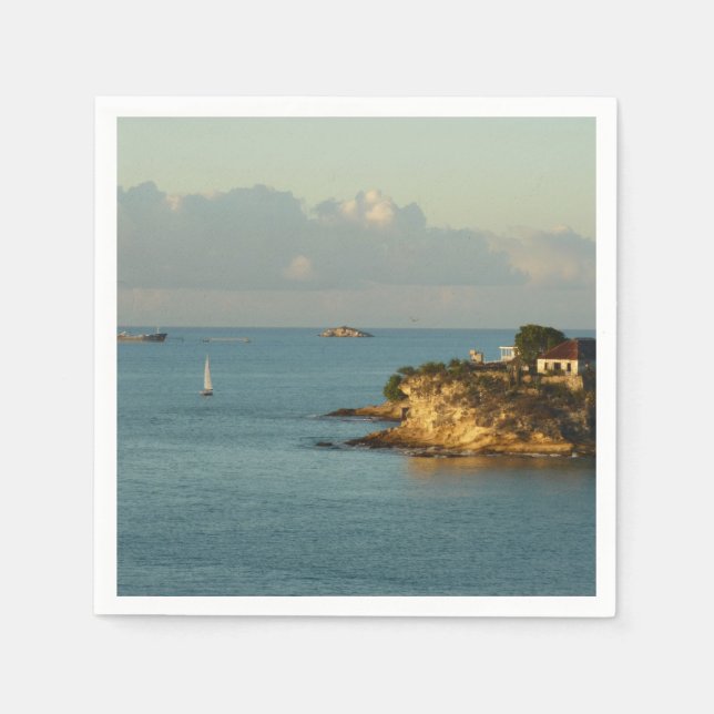 Sjölandskapet Antiguan Kusten Bevackra Island Pappersservett (Framsidan)