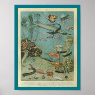 Sjölandskapet Skriv ut Sjölivet vintage Färg Poster