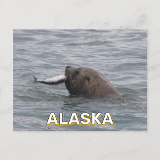 Sjölejon äter en lax i Alaska Vykort