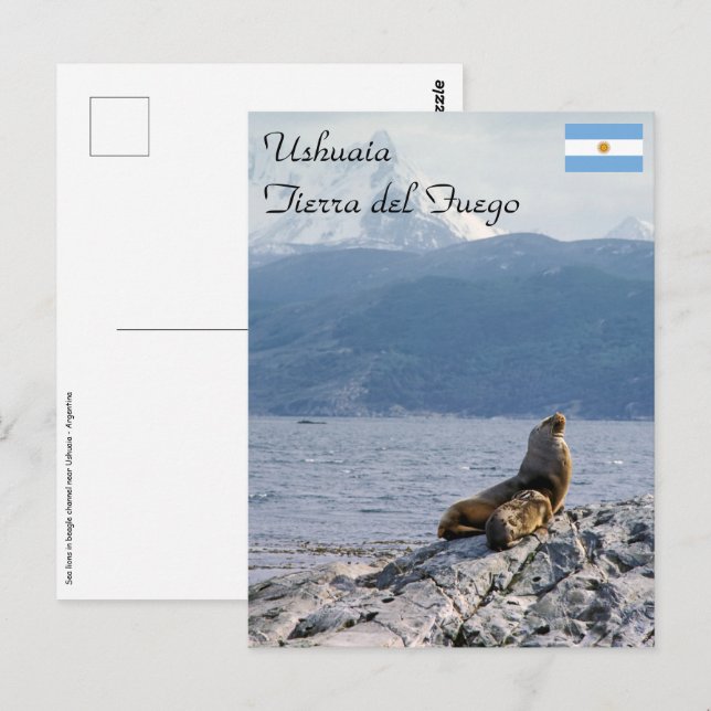 Sjölejon i Beaglekanalen - Argentina Vykort (Fram/baksida)