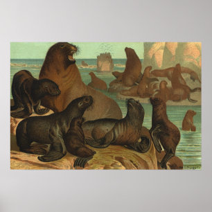 Sjölejon på stranden, gammaldags marint liv djur poster