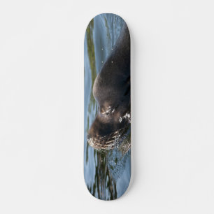 Sjölejon Skateboard Bräda 20,5 Cm
