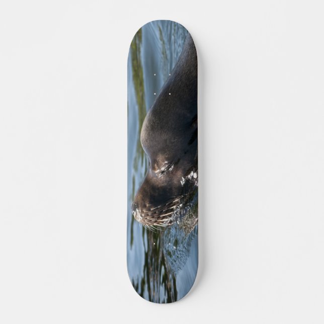 Sjölejon Skateboard Bräda 20,5 Cm (Framsida)