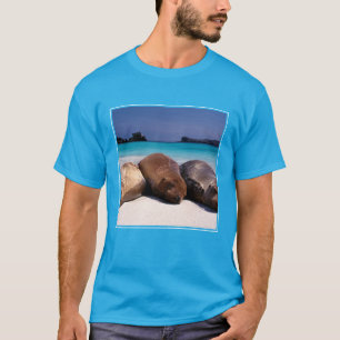 Sjölejon som sovar på strand Ecuador Tee Shirt