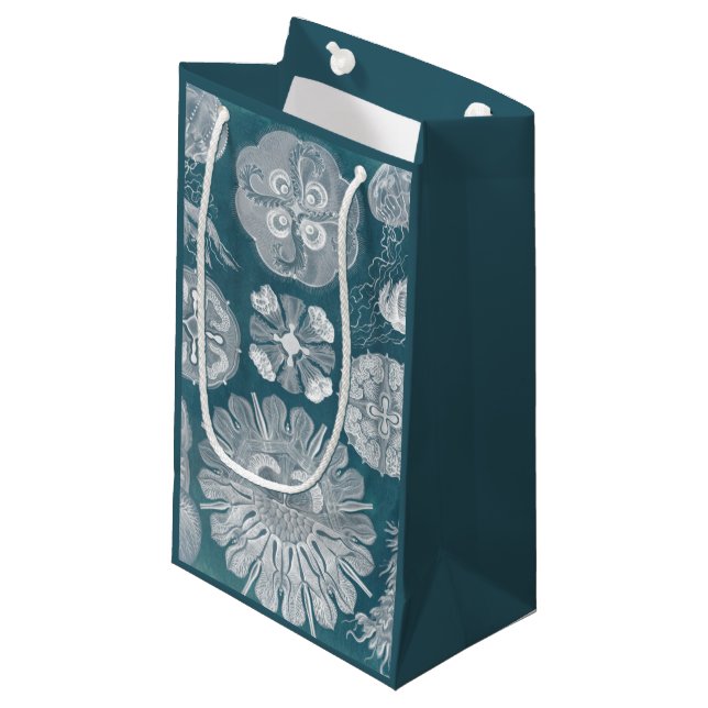 Sjöliv blåkopia IV (Framsidan Vinklad)