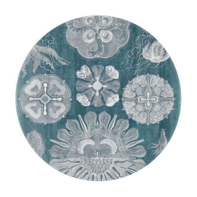 Sjöliv blåkopia IV (Framsidan)