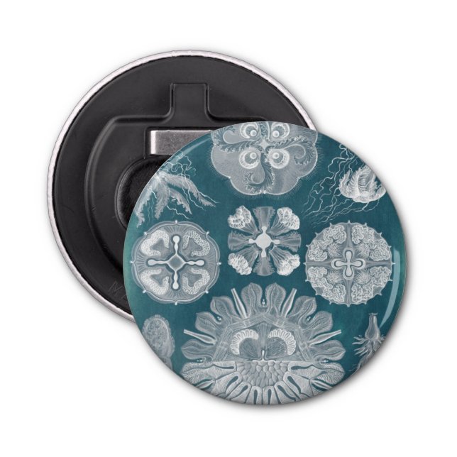 Sjöliv blåkopia IV Flasköppnare (Framsidan)