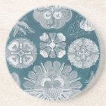 Sjöliv blåkopia IV Underlägg Sandsten<br><div class="desc">Havsliv</div>