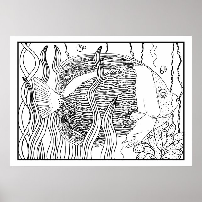 Sjöliv DIY Coloring Poster Tropical Fish (Framsidan)