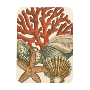 Sjöliv Magnet
