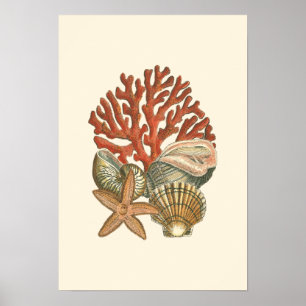 Sjöliv Poster