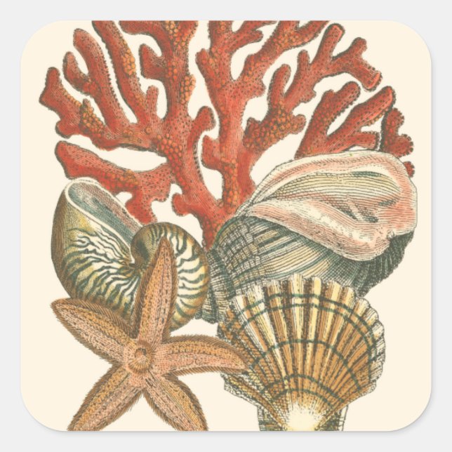 Sjöliv-samling Fyrkantigt Klistermärke (Framsida)