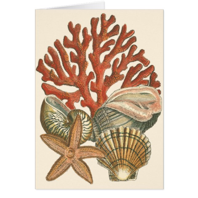 Sjöliv-samling Hälsningskort (Framsidan)