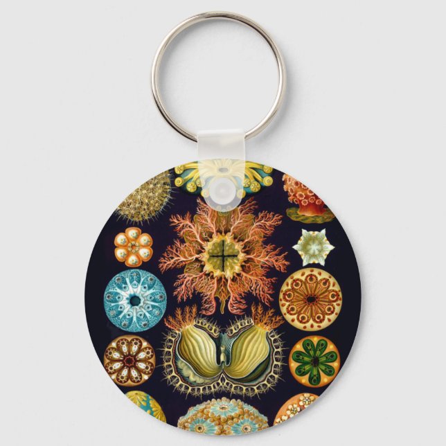 Sjölivet Ernst Haeckel Ascidiae A01 Nyckelring (Framsida)
