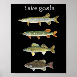 Sjömål Fiske Musky Gädda Gös Småmunta Poster