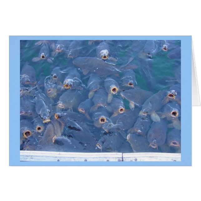 SjöMeadfiske Hälsningskort (Framsidan Horizontal)