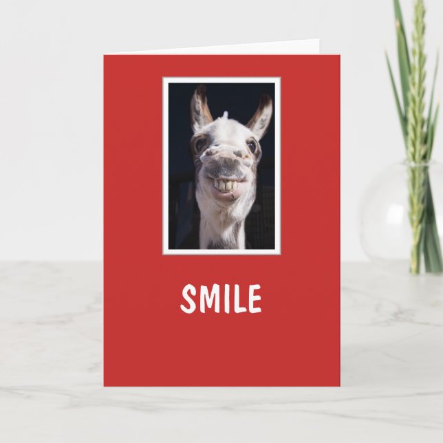  sjömil - Denis Donkey Smile Helgkort (Framsida)