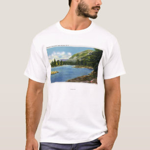 Sjön beskådar av elefantberg tee