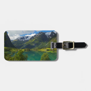 Sjön Floen pittoresk, Norge Bagagebricka