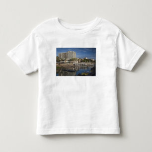 Sjön Galie-Sjö Tiberias vattenfront, gryning Tee Shirt