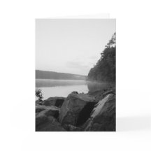 Sjön och dimman